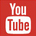 YouTube Icon Advanced Endoscopy Devices